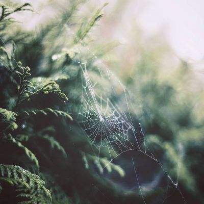 万博(ManBetx)手机app下载