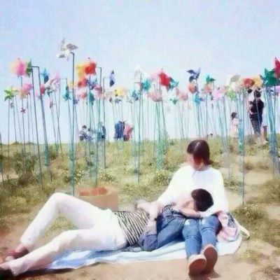 半岛·综合下载手机版